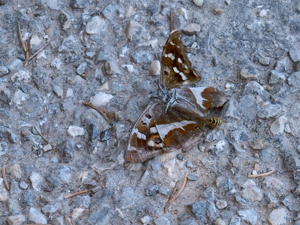 Bild Nr. 9